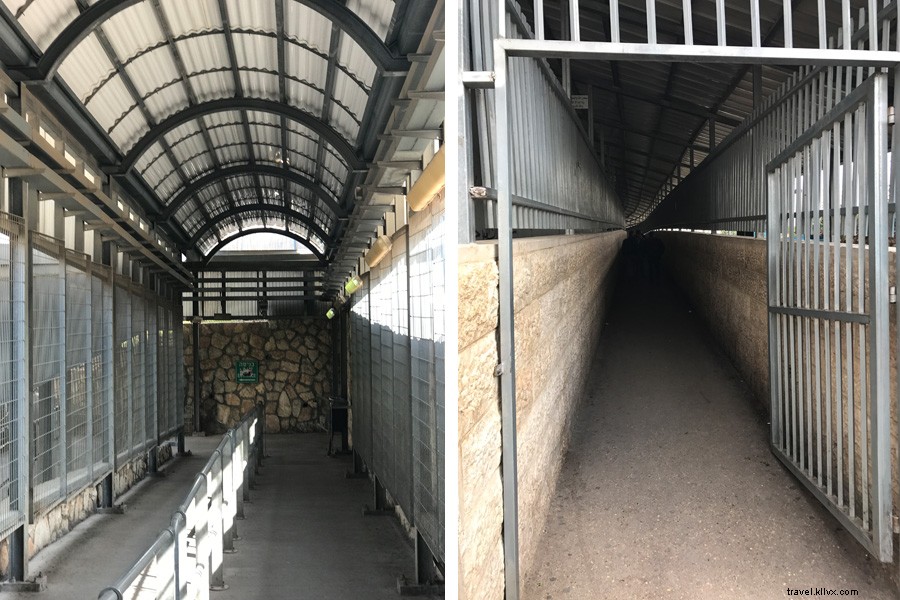 Bethlehem s Wall: A Native Daughter and Banksy Confront the Divide