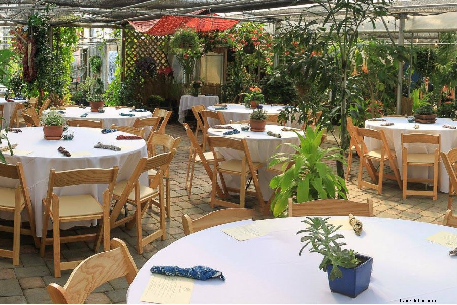 Discover Sharon Springs: Upstate New York s Charming Nostalgic Haven and Beekman 1802 Home