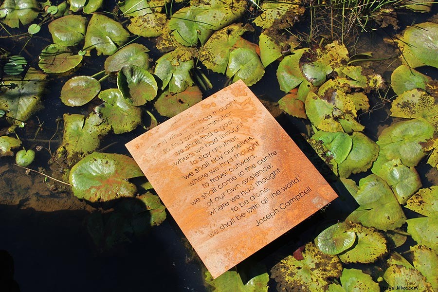 Dylan Lewis Unveils Stunning Sculpture Garden in South Africa s Cape Winelands