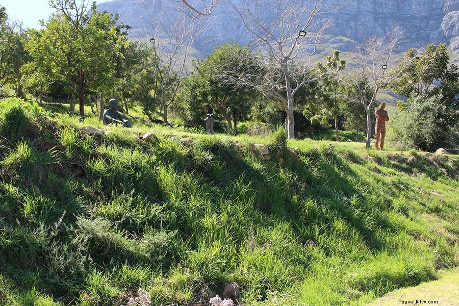 Dylan Lewis Unveils Stunning Sculpture Garden in South Africa s Cape Winelands