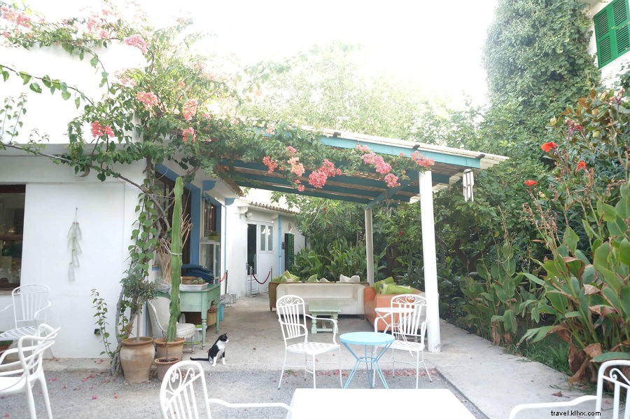 Discover Mallorca: Exclusive Small-Group Island Adventures Await