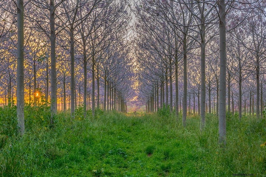 Discover Israel s Hidden Side: Stunning Photos and Stories from Passage to Israel
