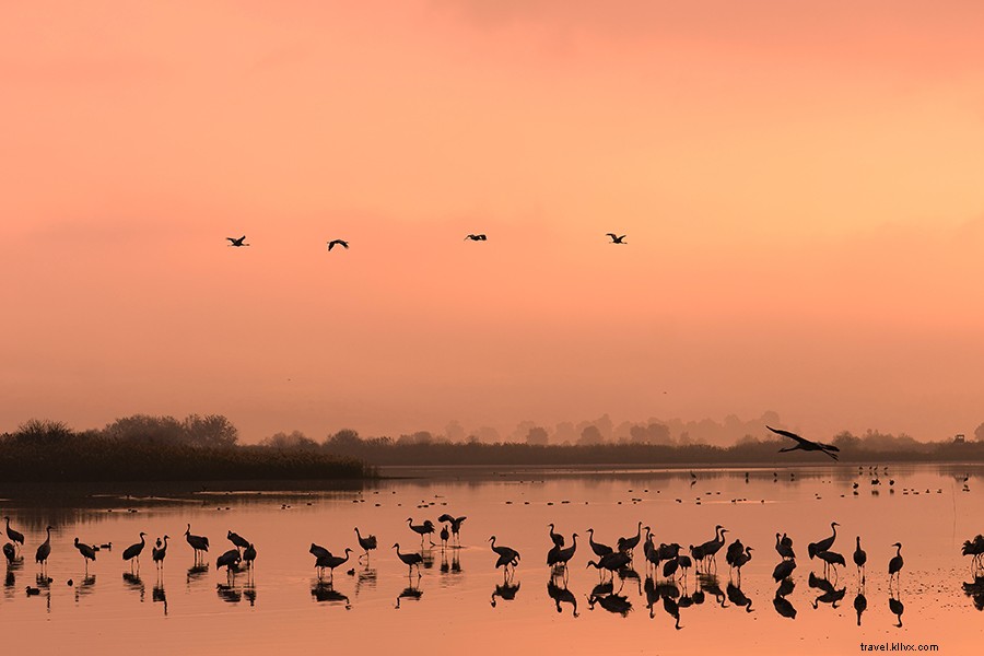Discover Israel s Hidden Side: Stunning Photos and Stories from Passage to Israel