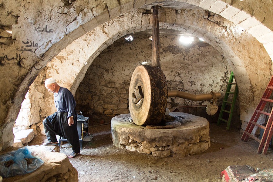 Discover Israel s Hidden Side: Stunning Photos and Stories from Passage to Israel