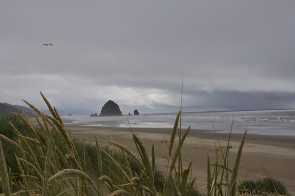 11 Must-Do Experiences in Portland, Oregon: Beth Riesgraf s Insider Guide