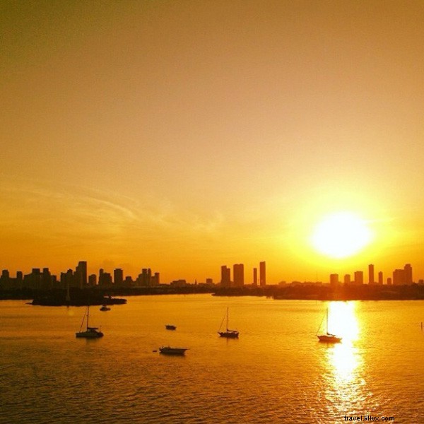 Miami s Design District Debrief: Insider Guide from Local Experts