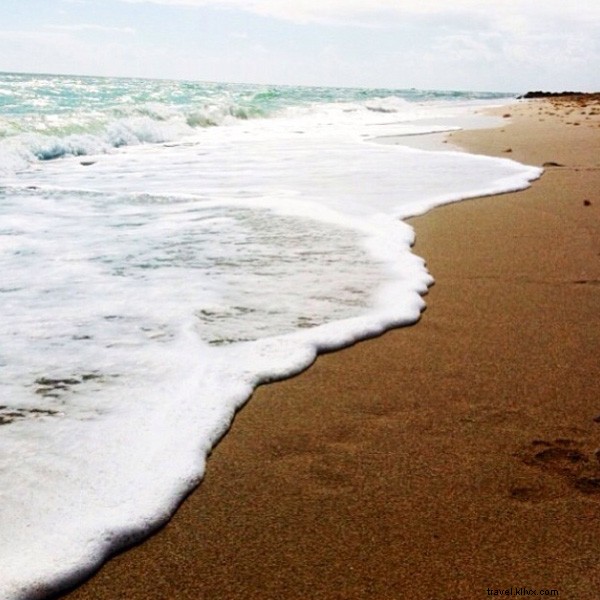 Miami s Design District Debrief: Insider Guide from Local Experts