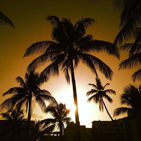 Miami s Design District Debrief: Insider Guide from Local Experts