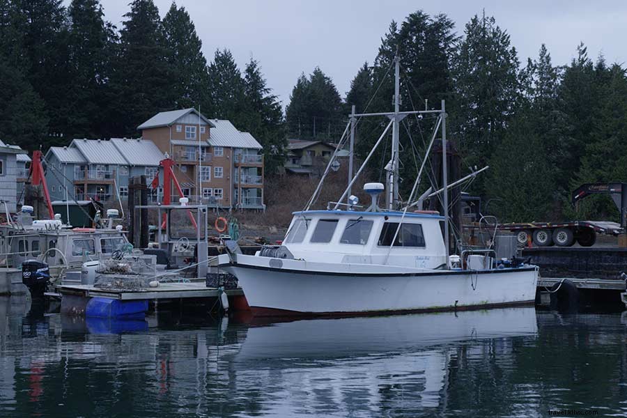 Discover Indigenous Canoe Traditions & Rustic Dining in Tofino, Vancouver Island