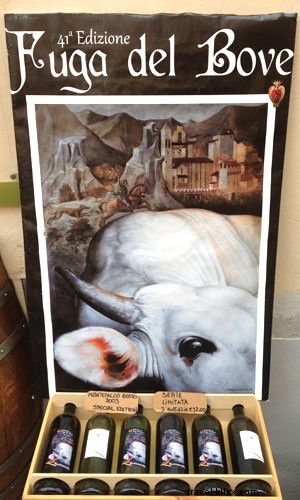 Discover Charming Hill Towns and Stunning Valley Views in Montefalco, Italy