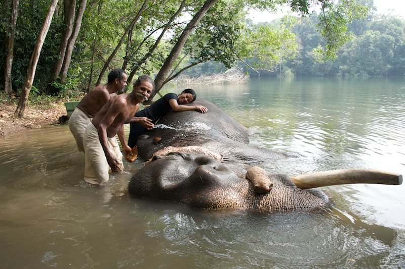 Kerala in Technicolor: Melodie McDaniel s Vibrant Photography