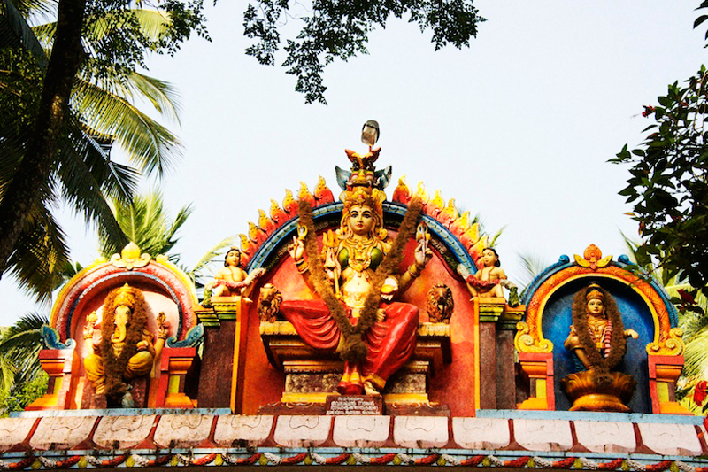 Kerala in Technicolor: Melodie McDaniel s Vibrant Photography