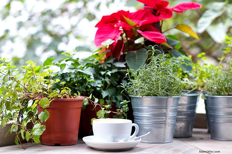 Discover the Indie Side of Hong Kong Island: Insider Guide by Local Expert