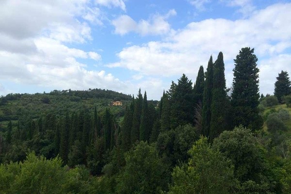 Unexpected Dinner Invitation: Strangers  Hospitality at a Historic Medici Villa in Florence