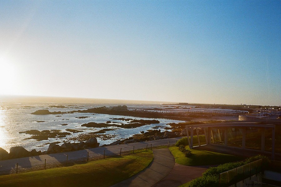 Nourish Body and Soul: Exploring Northern Portugal s Porto, Viana do Castelo & Douro Valley