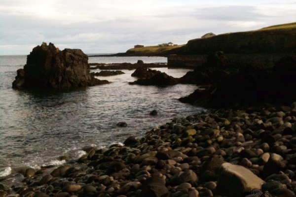 Discover Reykjavik, Iceland: Stunning Landscapes, Vibrant Nightlife & Unique Cuisine