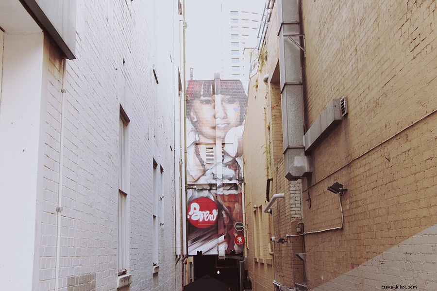 Chasing the Light: An Optimist s Guide to Sunny Brisbane