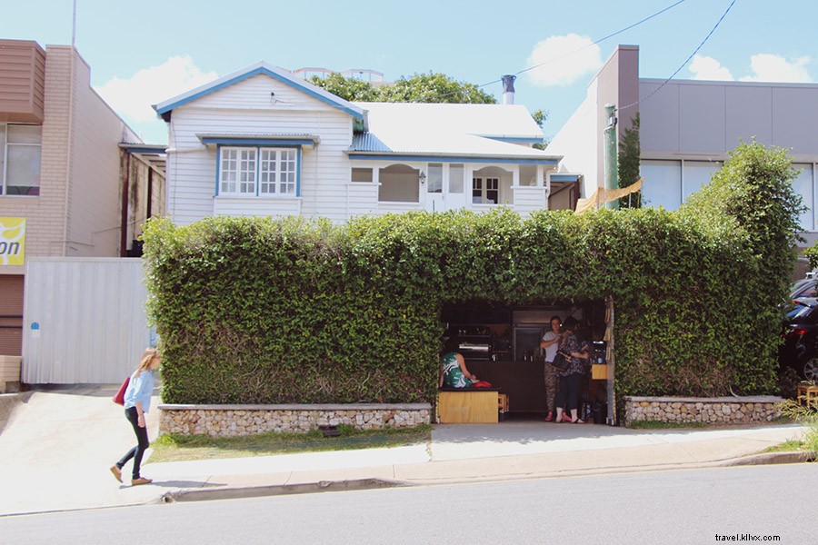 Chasing the Light: An Optimist s Guide to Sunny Brisbane