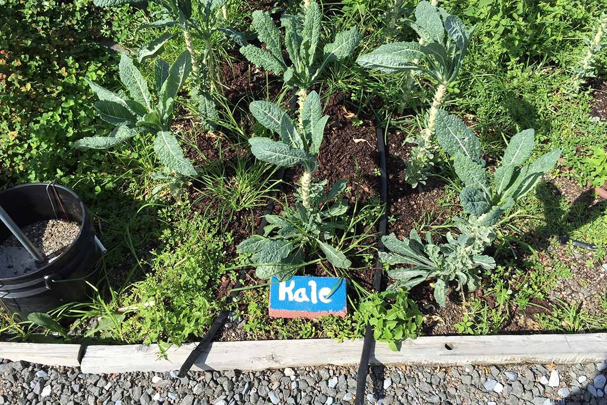 Discover Long Island City: Manhattan s Vibrant Artsy Neighbor – Ultimate Hit List