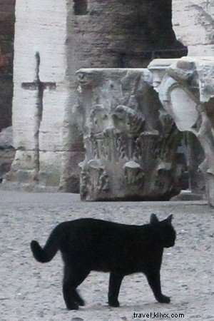 Rediscovering Rome: Why the Eternal City Remains My Old Friend