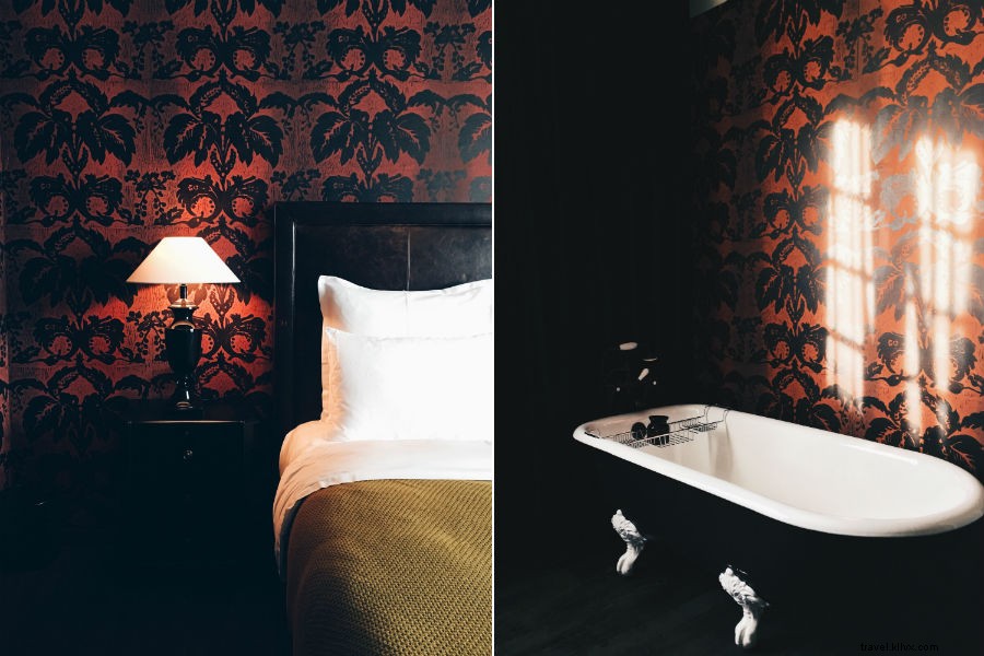 Why Georgia is the Next Big Travel Destination: Insights from Ross Belfer