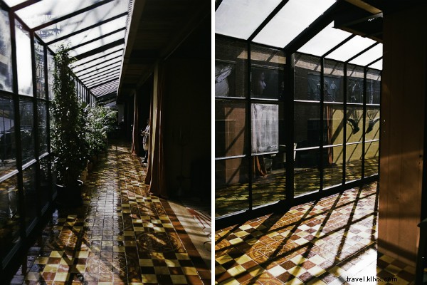 Why Georgia is the Next Big Travel Destination: Insights from Ross Belfer