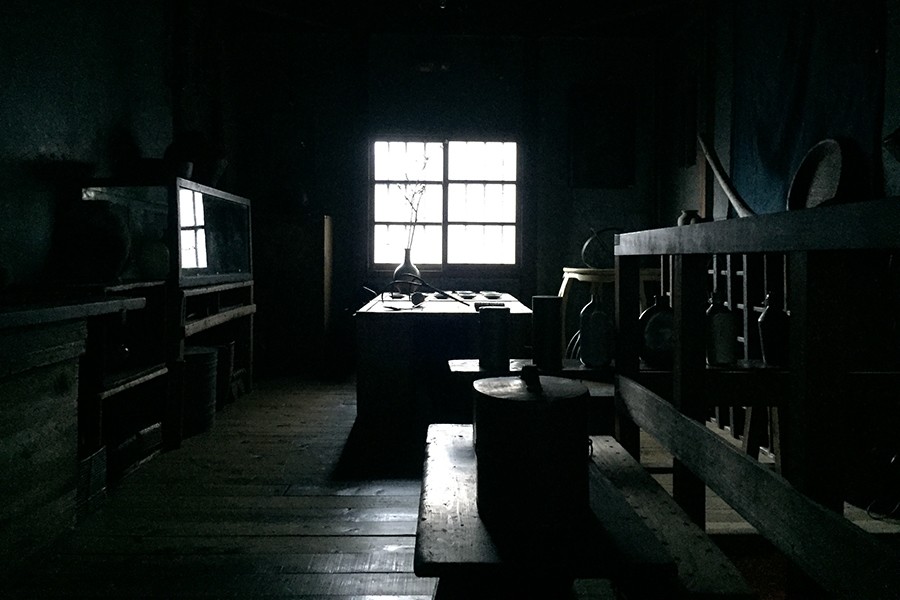 Unlock Tokyo s Hidden Gems: Secret Bonsai Collections, Rare Antique Shops & More