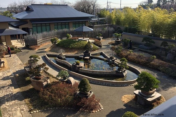 Unlock Tokyo s Hidden Gems: Secret Bonsai Collections, Rare Antique Shops & More
