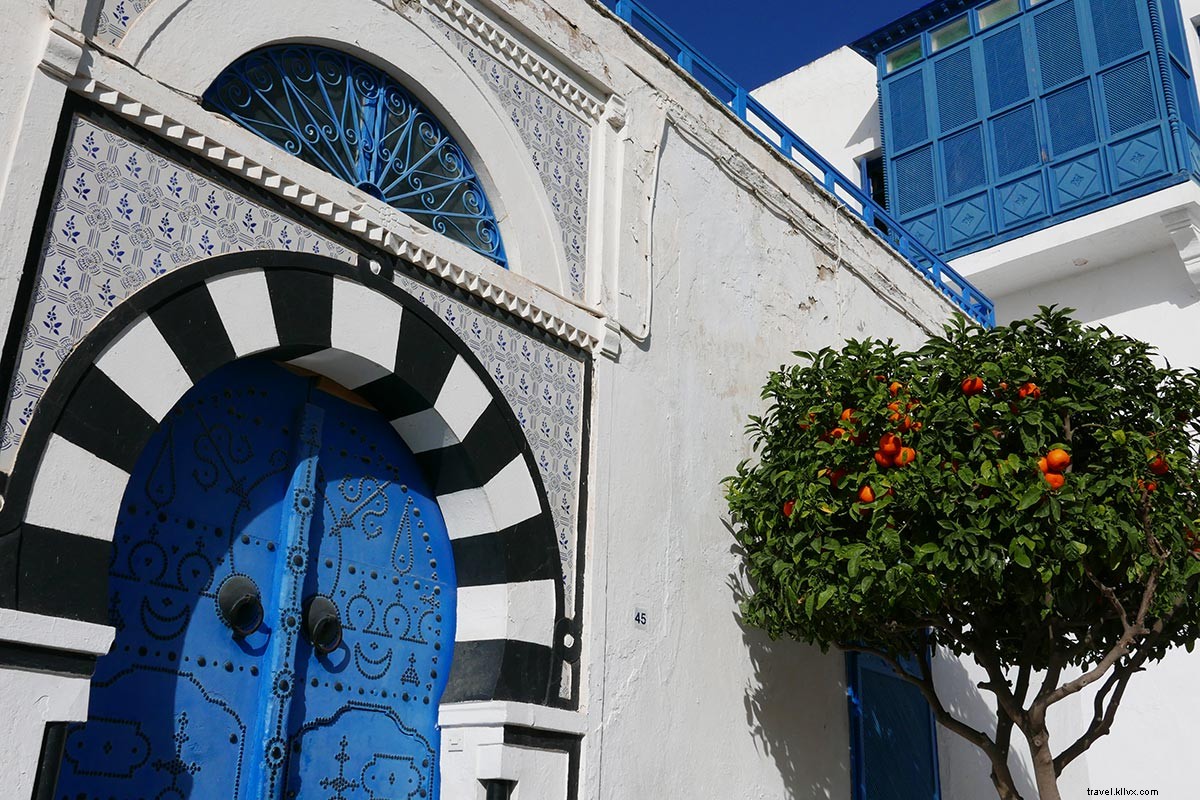 Sidi Bou Said: Tunisia s Enchanting Blue-and-White Paradise on Africa s Northern Coast