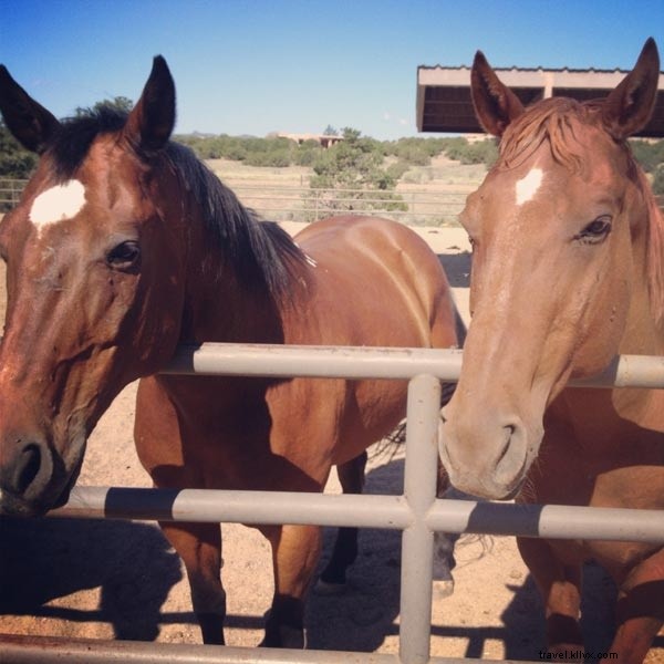 Tracing Georgia O Keeffe s Footsteps: A Santa Fe Summer Escape