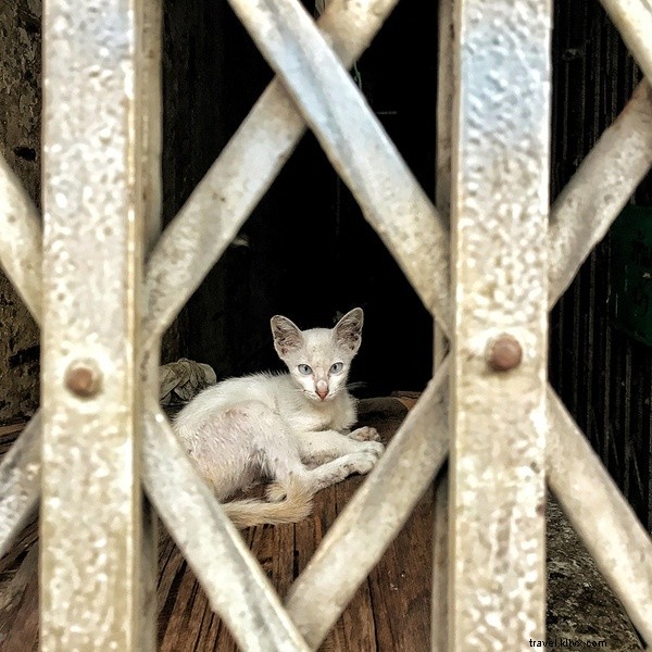 Bangkok s Chinatown: The Hipster Haven That s Thailand s Answer to Brooklyn