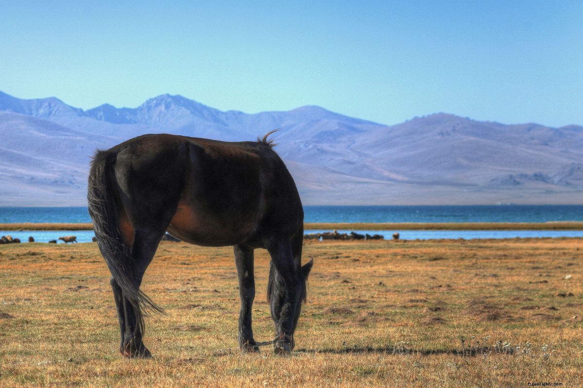 Discover Central Asia: Ultimate Summer Weekend Getaways from Bishkek, Kyrgyzstan