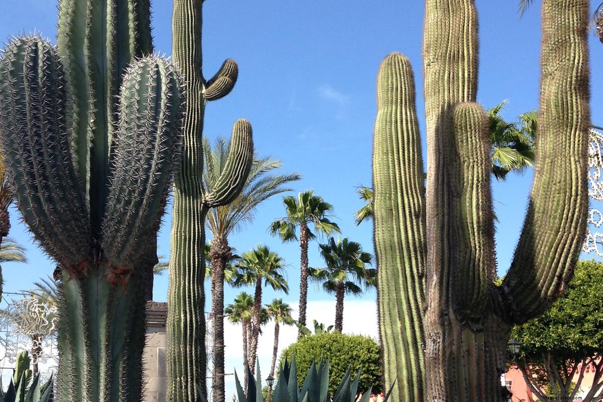 Discover Plaza México: Mexico s Landmarks Reimagined in LA Suburbs