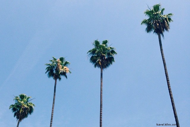 Win VIP Tickets to the Ultimate Palm Springs Party Next Weekend