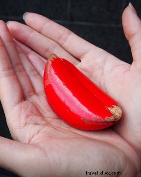 Expert Guide: How to Seek Your Fortune from Buddha in Taiwan s Temples