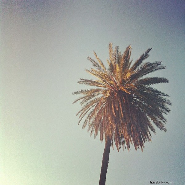 Meet Nicolee Drake: Our Guest Instagrammer Capturing Rome s Streets