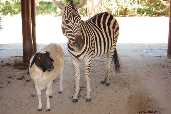 Traveler Spotlight: Marguerite Richards, LA Writer and Europe Enthusiast