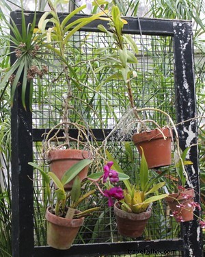 Designtripper s Detroit: Insider Tour of Cool Spots by Honor & Folly s Meghan McEwen