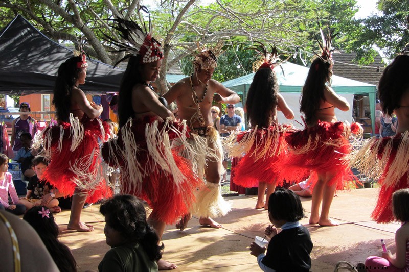 South Pacific Adventures in Three Acts: Coconut Husking, Parrot Filets, and Possum Shock