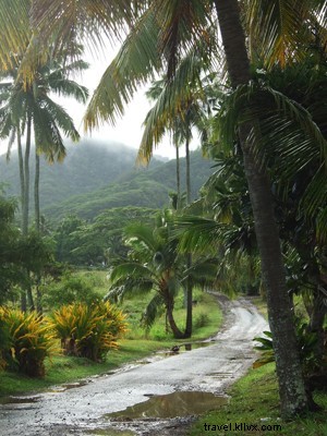 South Pacific Adventures in Three Acts: Coconut Husking, Parrot Filets, and Possum Shock