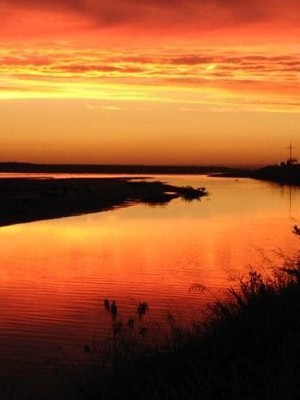 South Pacific Adventures in Three Acts: Coconut Husking, Parrot Filets, and Possum Shock