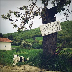 Mother-Daughter Camino Adventure: Hiking Northern Spain s Ancient Trails