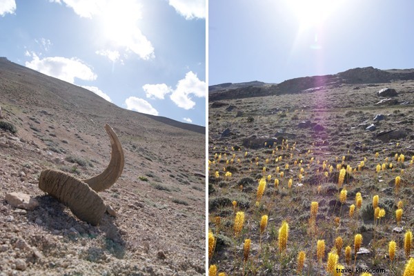 Exploring Tajikistan s Roads: A WSJ Editor s Journey Amid Travel Warnings