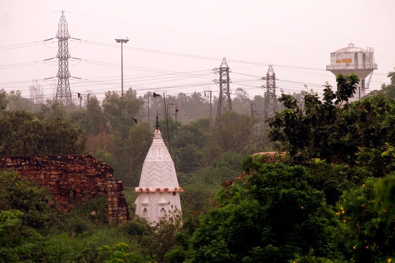 In Focus: Captivating Mosques from Travels in New Delhi and Aligarh, India