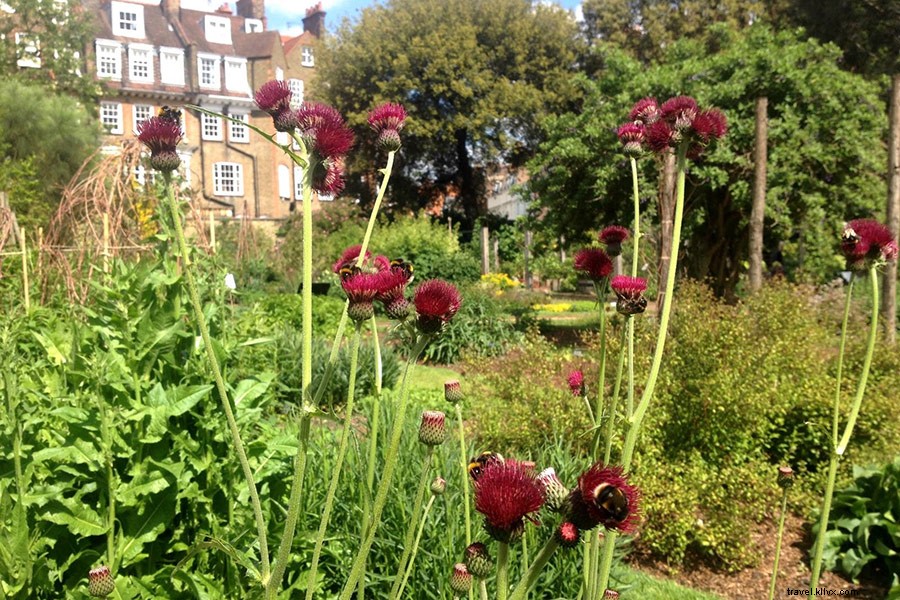 Discover London s Vibrant Literary Scene: Food, Fiction & Hidden Gems