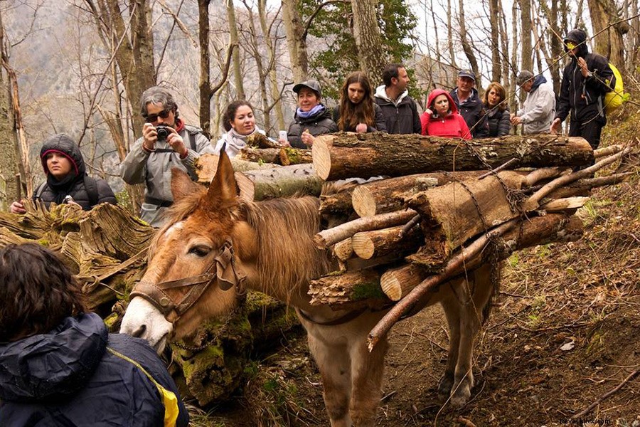 Insider s Local Guide: Uncover Hidden Gems on the Amalfi Coast