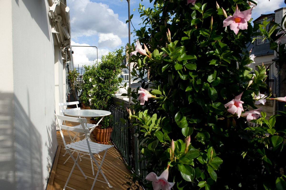 Discover Haven In: The Premier Airbnb Alternative for Luxe Paris Stays