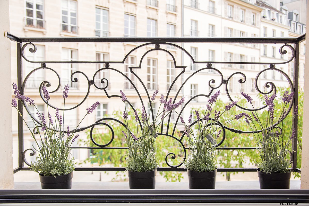 Charming Parisian Pied-à-Terre on Historic Île de la Cité: Perfect Rental Stay