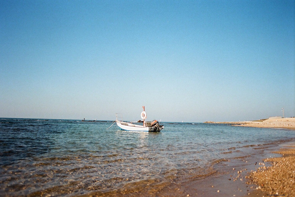 Tel Aviv s Top Hangouts for Young Creatives: Insider Guide