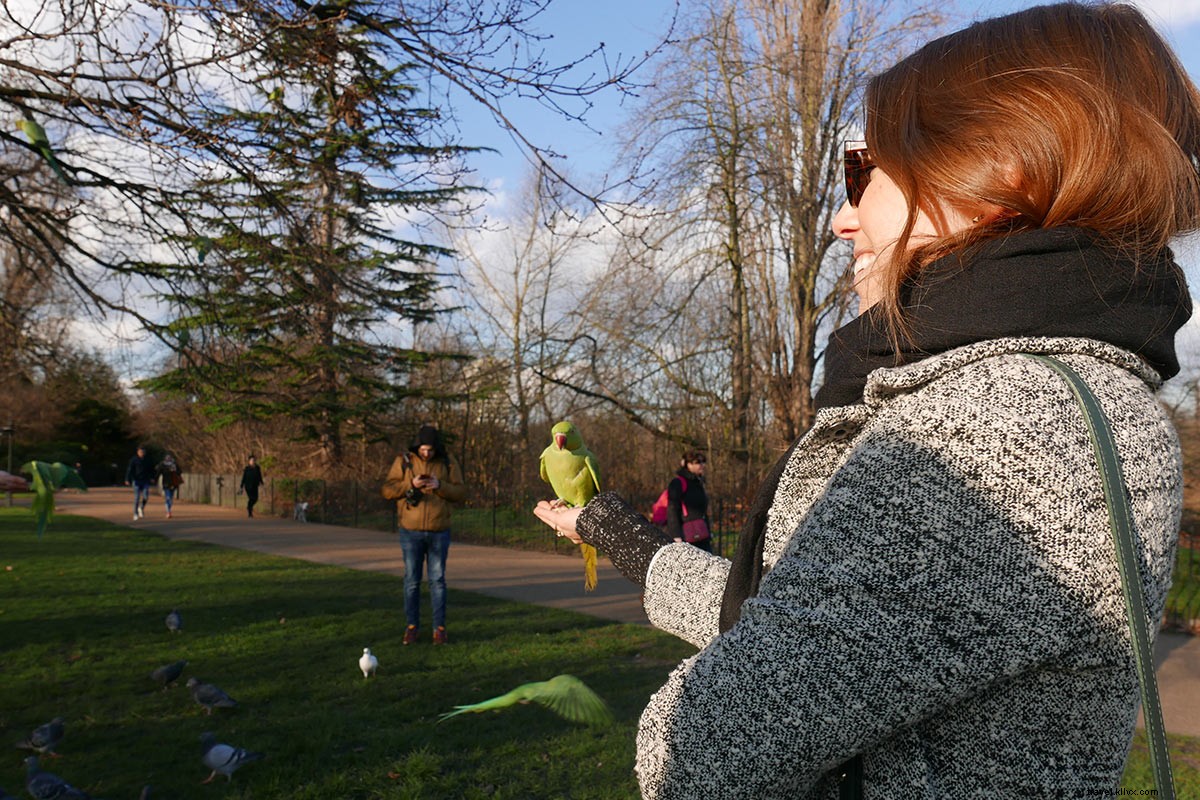 A Pedestrian s Guide to Kensington: London s Royal Playground